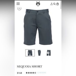 SEQUOIA SHORT - Scareb Green - Size 30 Waist
